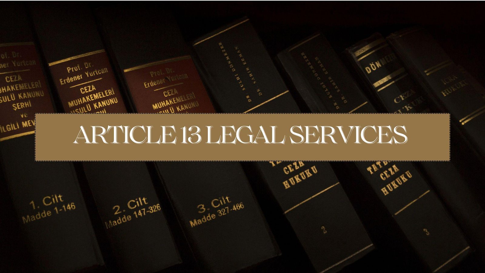 Article 13 Legal services India: Explained!